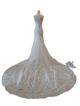 Rent : Adrian Gan - Lace Mermaid Gown